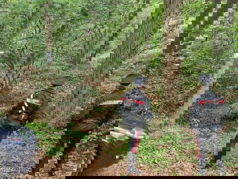 La moglie faceva qualcosa di assurdo nel bosco e il marito le r…