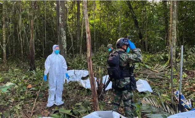 La storia dei 4 fratellini dispersi nella foresta amazzonica dopo un  incidente aereo