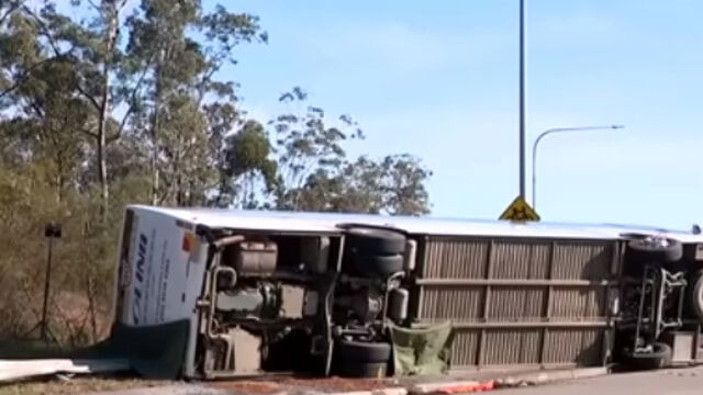 Il bus va fuori strada mentre tornano da un matrimonio: 10 morti e 25  feriti, strage in Australia