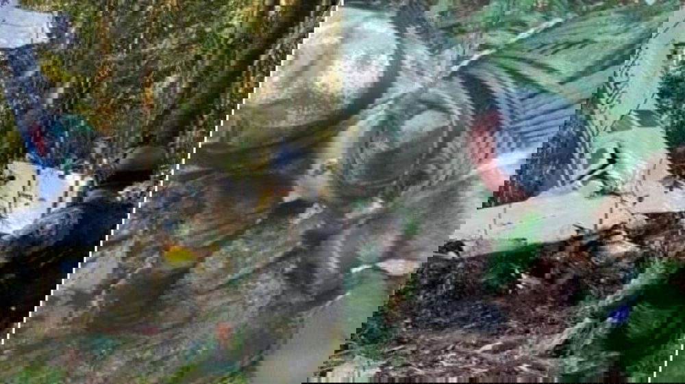 La storia dei 4 fratellini dispersi nella foresta amazzonica dopo un  incidente aereo