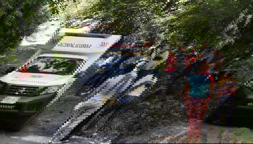 Dopo 15 giorni trovati vivi nella foresta quattro bambini, sopravvissuti a  un incidente aereo - PalermoLive