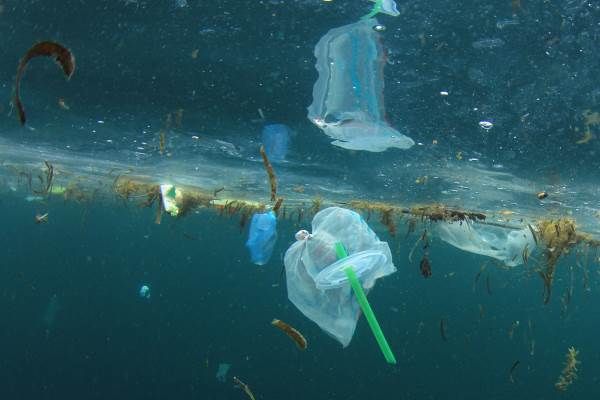 La situazione della plastica negli oceani non è più sostenibile. Onu:  "Invertire la rotta" - Luce