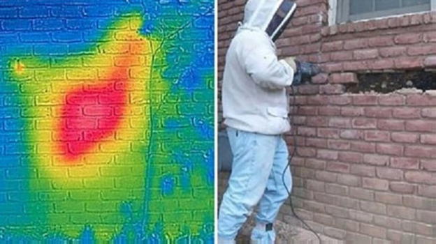 Sente dei strani rumori dal muro, una donna si avvicina e fa una scoperta agghiacciante