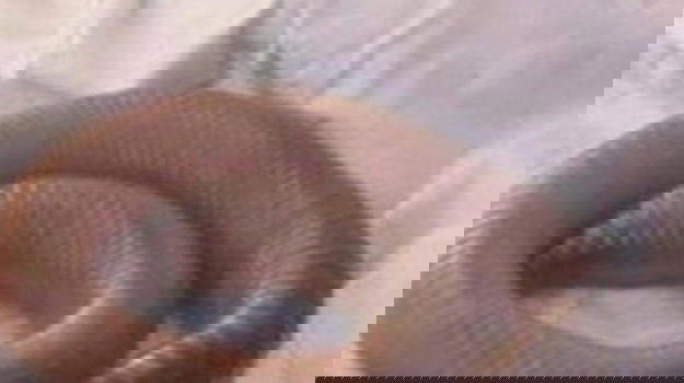 Si sveglia per fare il caffè e vede qualcosa di assurdo sul letto