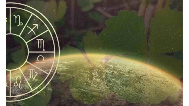 Una fortuna spropositata per questi segni zodiacali