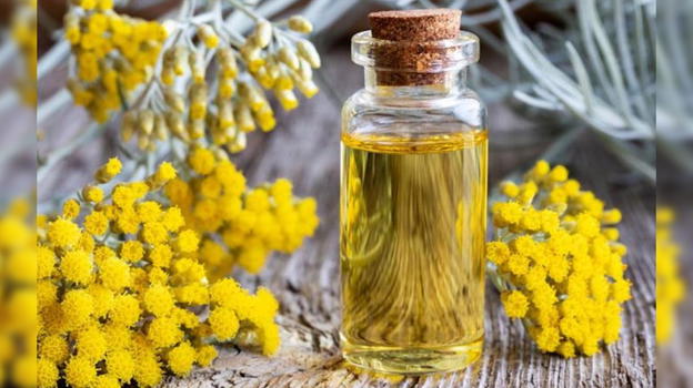 Risveglia l’entusiasmo con l’Elicriso, il suo profumo cura l’anima