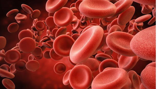 Leucemia, quali sono i campanelli d’allarme, i sintomi a cui prestare attenzione