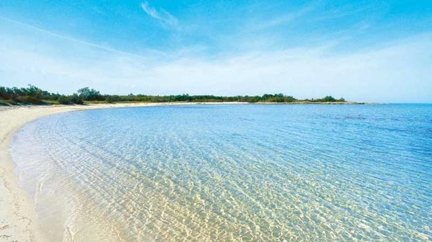 È successo in spiaggia poco fa, bagnanti senza parole