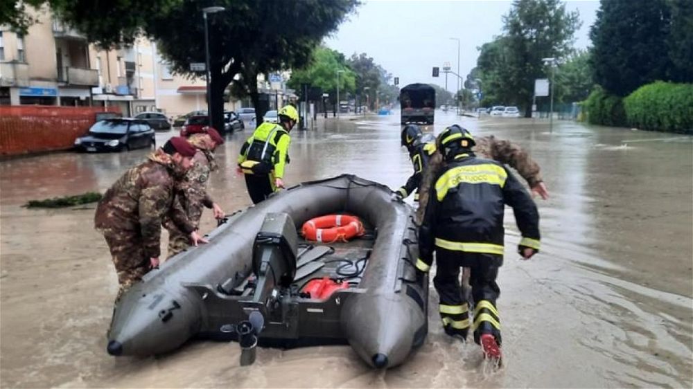 Rifugi e canili invasi dal fango per l'alluvione in Emilia-Romagna: «Emergenza anche per gli animali»