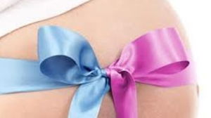 1690975969_64ca3ee0c68cc