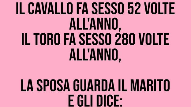 "Il cavallo lo fa 52 volte all’anno, il toro 280 e mio marito.."