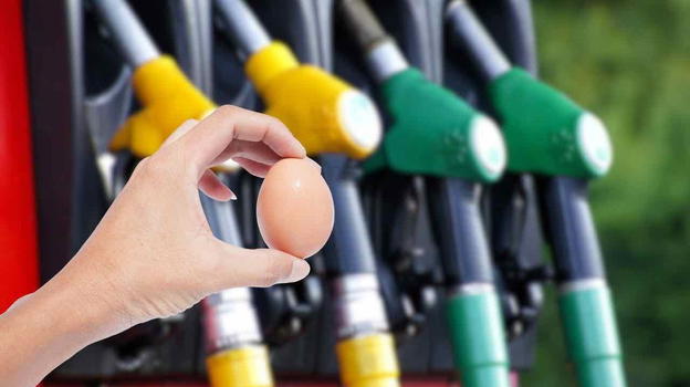 Benzina, la tecnica dell’uovo per risparmiare sul carburante