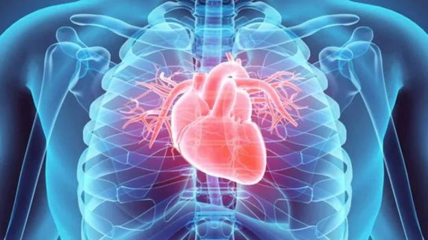 Perché spesso si sente forte il battito del cuore? Fate attenzione a questi sintomi