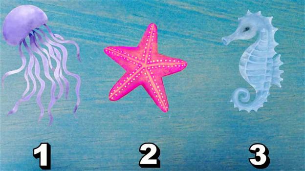 Test psicologico: scegli una di queste creature marine e scopri come ti approcci alla vita