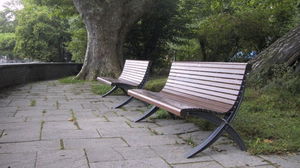 1697360146_652ba9120c211