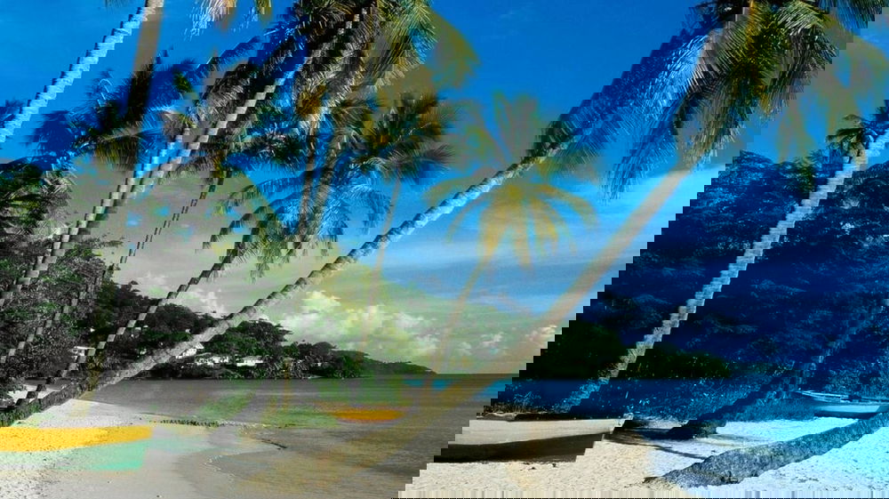 170mila euro per vivere su un’isola privata: i requisiti