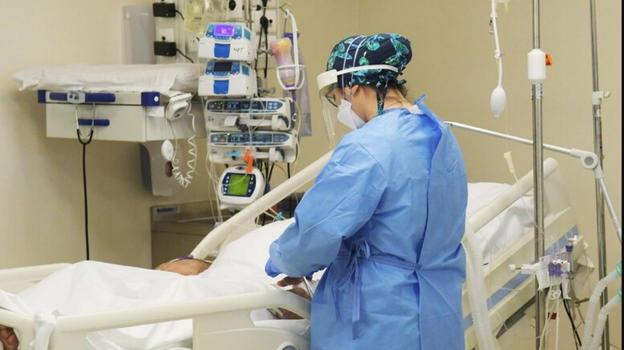 Ricoverati dopo la cena, sono in fin di vita: cosa avevano mangiato