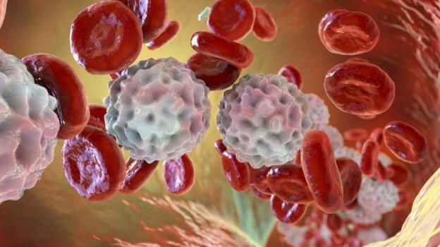 Linfomi e leucemie, l’annuncio degli oncologi sui richiami