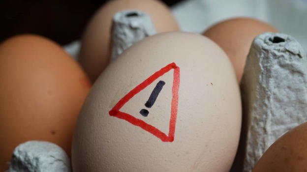 Salmonella nelle uova, richiamo in tutta Italia della nota marca