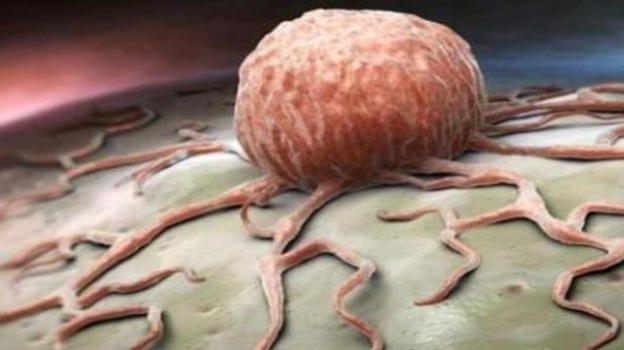 La scoperta dei medici, sconfigge le neoplasie: ecco l’alimento alleato per la salute