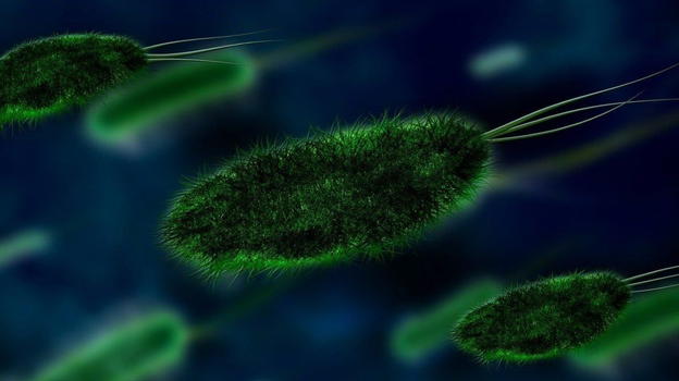 Nuovo virus, è estremamente contagioso: i sintomi a cui prestare attenzione