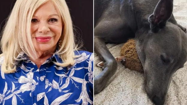 Sandra Milo, il dramma dei cani dell’amata attrice