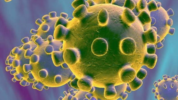 La scoperta degli scienziati che riguarda tutte le donne che hanno contratto il virus