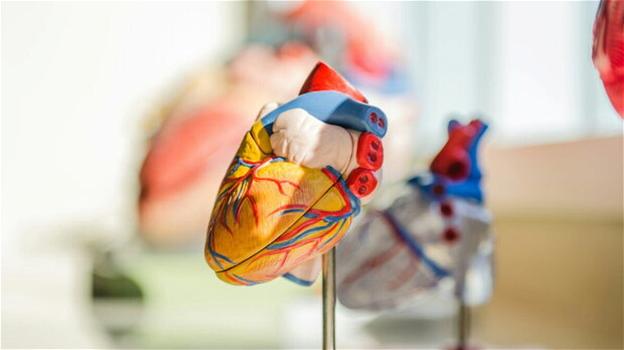 Briatore e la neoplasia al cuore: attenzione a questi sintomi