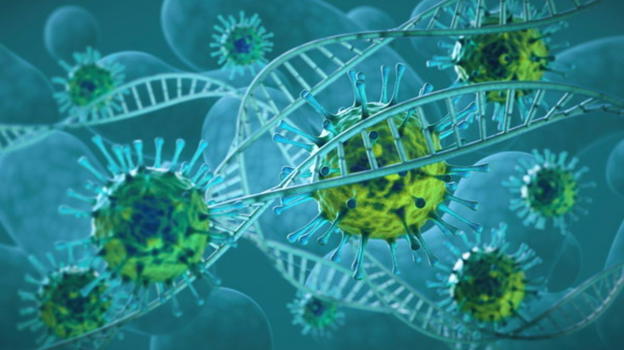 Nuovo virus dalla Cina, gli esperti lanciano l’allarme