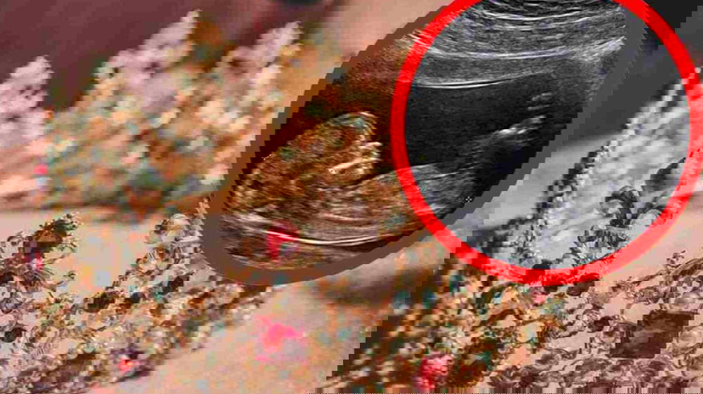 La Principessa è incinta, si prega che tutto vada bene