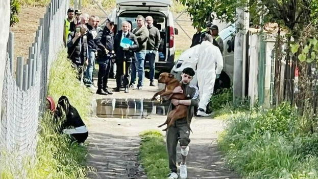 Bimbo di 2 anni sbranato dal cane: la scoperta sulla mamma
