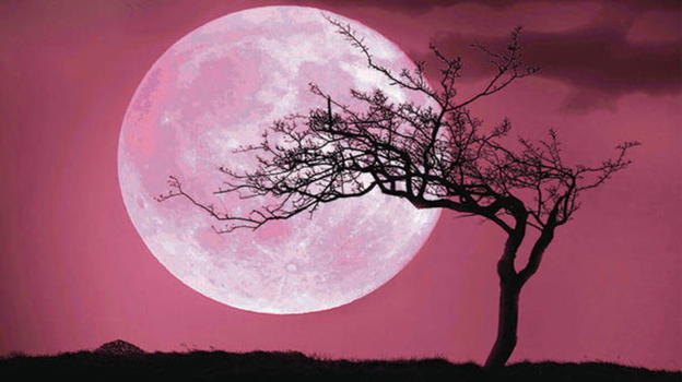 Luna piena rosa: ecco quando e dove vederla