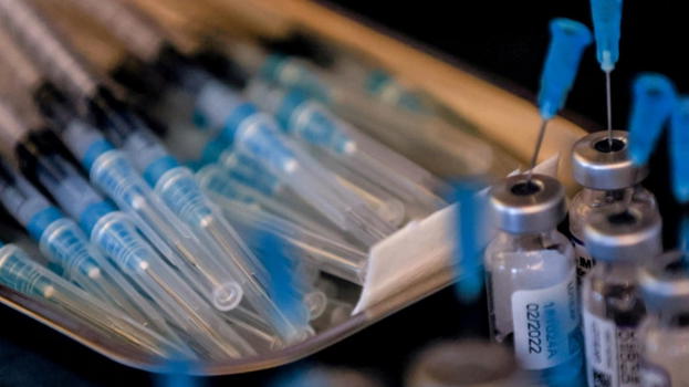 Aviaria, OMS: "Vaccino pronto entro 4-6 mesi"