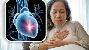 1715174205_663b7b3ce5978