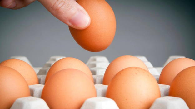 L’annuncio dell’OMS: cosa accade al tuo corpo se mangi 2 uova al giorno