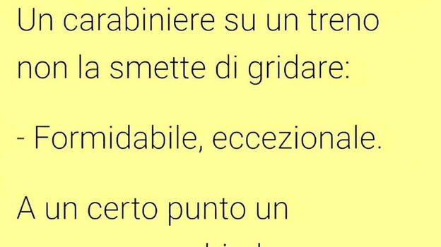 Carabiniere su un treno non la smette di gridare