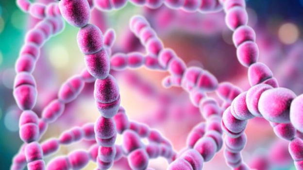 Streptococco, boom di casi: attenzione a questo sintomo