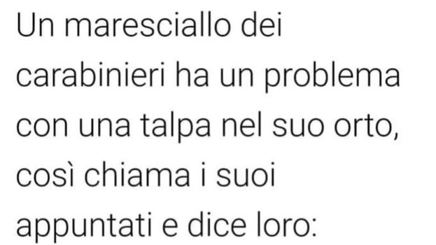 Maresciallo dei carabinieri ha un problema con una talpa nel suo orto