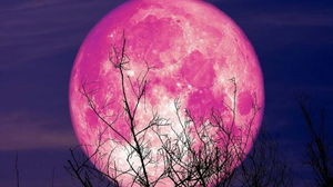 1718892589_6674382c654ea