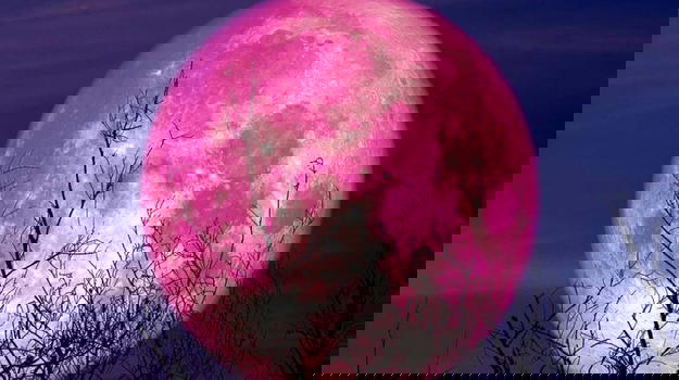 Spettacolo in cielo: arriva la ‘Luna delle Fragole’, ecco quando