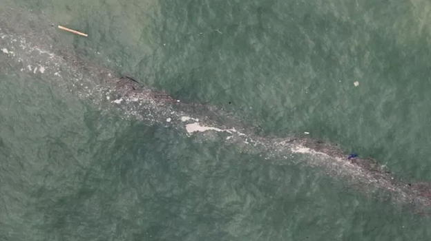 Inquietante scoperta nel mare italiano: cosa è emerso