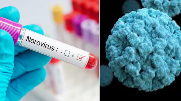 Norovirus, scatta l’allarme: "Il contagio parte dai…"
