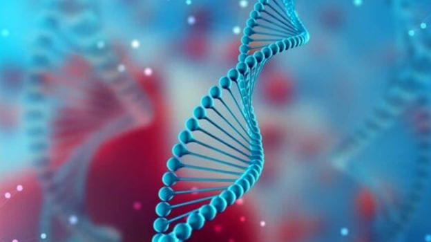 Sindrome di Sanfilippo, i sintomi a cui prestare attenzione