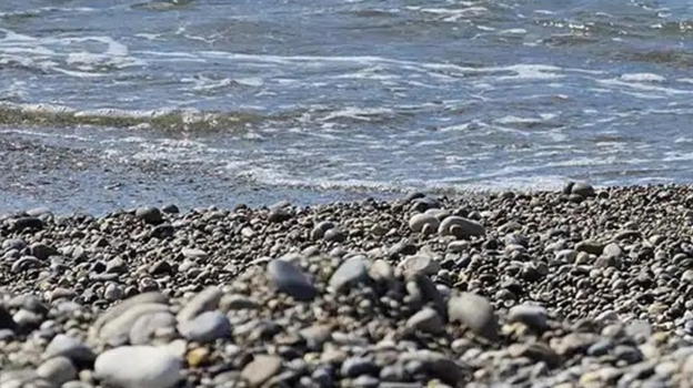 Stabilimento balneare rifiuta accesso a bambino disabile: "Suo figlio è un..