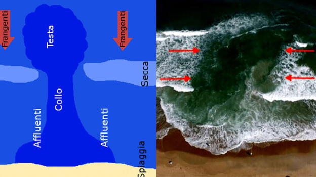 Attenzione, se vedete questo al mare scappate