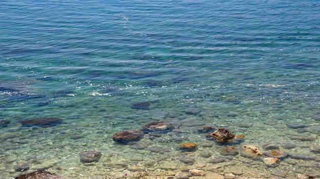 L’incredibile scoperta nel mare italiano di un bagnante