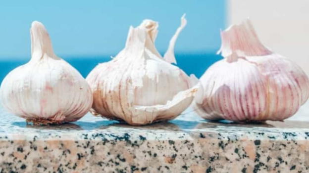 Metti uno spicchio d’aglio sul balcone e salverai la tua estate!