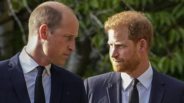William e Harry, il triste annuncio: "È deceduto"