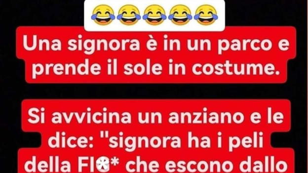 Una signora è in un parco e prende il sole ed accade l’impensabile