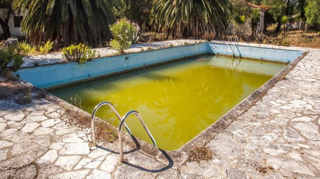 400 € per una giornata in piscina, turisti sconvolti. La titolare: "Con noi si paga…."